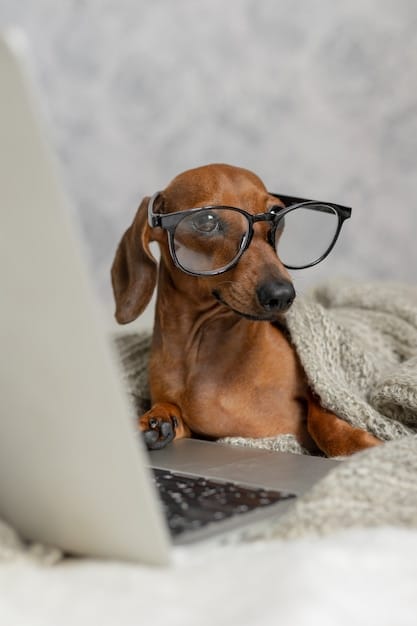 A beagle puppy wearing a pair of oversized glasses, sitting in front of a laptop with a confused expression. The background is a cluttered desk with books and papers, creating a humorous and relatable scene.