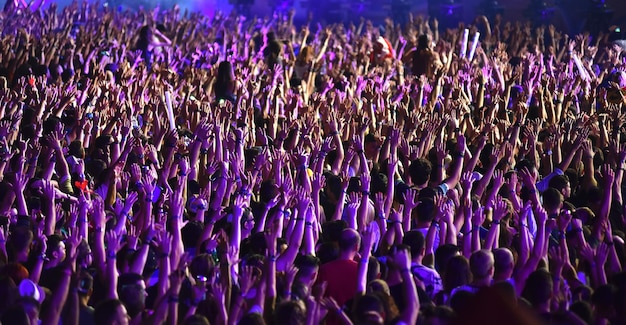 How to Build a Loyal Fanbase: Proven Strategies for US Musicians